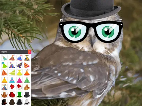 Add Stickers Add Stickers