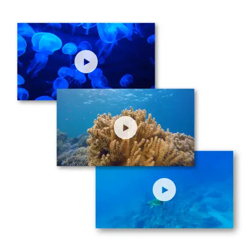 Video collage maker