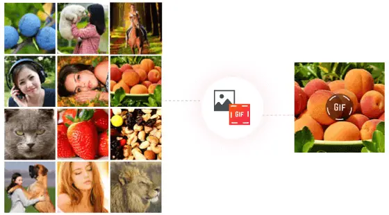 Images to GIF Images to GIF