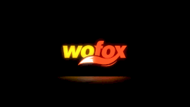 Online Editable Light in The Shadow Logo Intro
