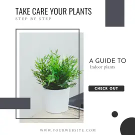 Online Editable Indoor Plants Blog Graphics Social Media Post