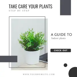 Online Editable Guide To Take Care of Plants Blog Graphics Instagram Ad