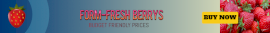 Online Editable Fresh Strawberries for Sale Leaderboard Ad