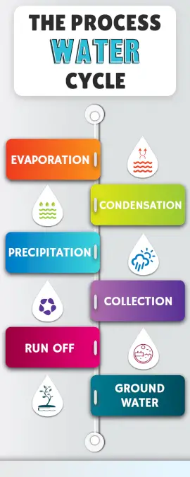 Online Editable Hydrological Cycle Process Infographic
