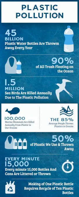 Online Editable Causes of Plastic Pollution Statistics Infographic