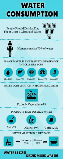 Online Editable Water Intake Calculator Statistics Infographic