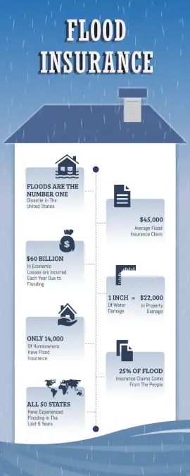 Online Editable Flood Insurance Statistics Infographic