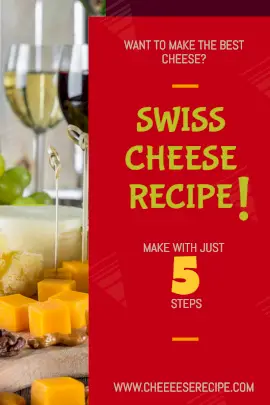 Online Editable Red Swiss Cheese Recipe Card