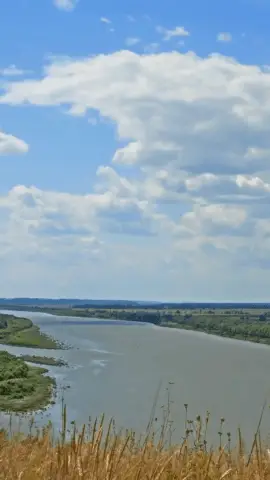 Online Editable Nature with Moving Cloud Effect Cinemagraph