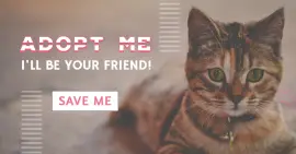 Online Editable Adopt a Pet Facebook Ad Post