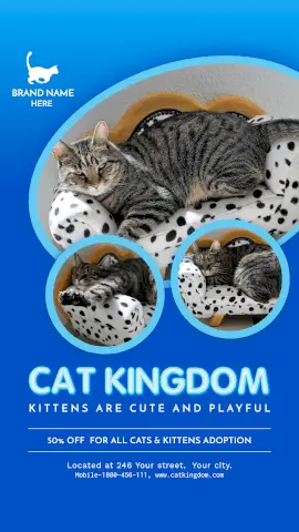 Online Editable Cat Kingdom Kittens for Sale GIF Post