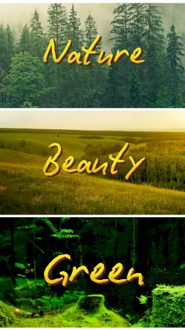 Online Editable Triple Vertical Frame for Evergreen Nature Collage Story Design