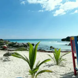 Online Editable Beach with Moving Plants Cinemagraph