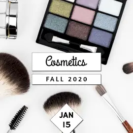 Online Editable Cosmetics Sale 2020 Instagram Ad