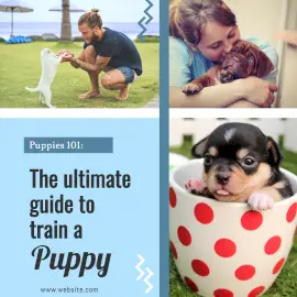Online Editable Puppie Training Graphics Instagram Ad