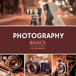 Online Editable DSLR Photography for Beginners 4 Grid Photo Collage