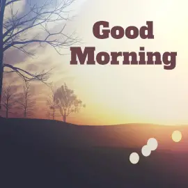 Online Editable Good Morning Wishes Scenery Facebook 3D Post