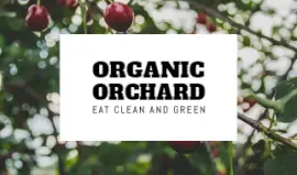 Online Editable White Organic Orchard Business Card