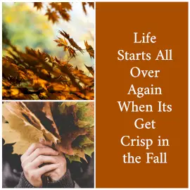 Online Editable Quotes on Autumn Fall 2 Grid Photo Collage