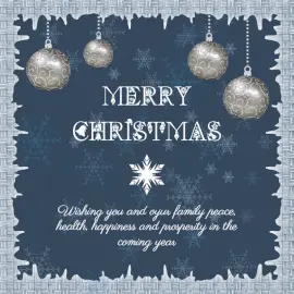 Online Editable Frosty Frame Merry Christmas Wishes Social Media Post