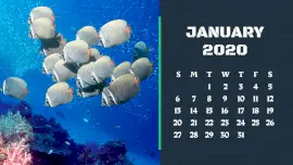 Online Editable High Res Image Calendar