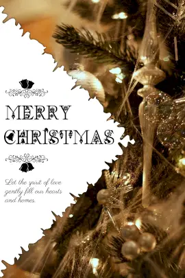 Online Editable Merry Christmas Wish Tumblr Graphic