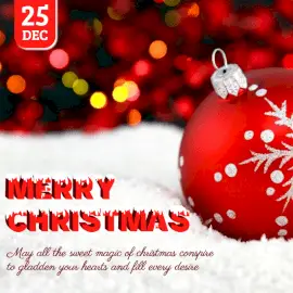 Online Editable Merry Christmas Greeting Social Media Post