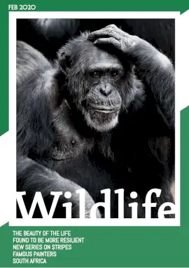 Online Editable Green Wildlife Magazine Cover