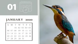 Online Editable Birds Image Calendar