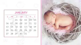 Online Editable Baby Theme Calendar