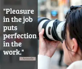 Online Editable Quotes on Perfection By Aristotle Facebook Post