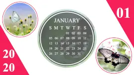 Online Editable Butterfly Theme Calendar