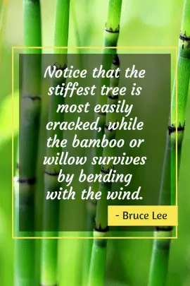 Online Editable Bruce Lee's Self-learning Thoughts Pinterest Graphic