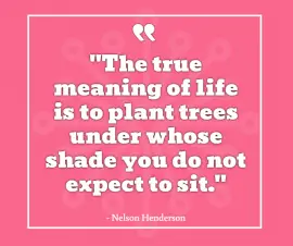 Online Editable Quotes on Life By Nelson Henderson Facebook Post