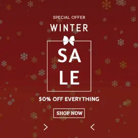 Online Editable Snowflakes Winter Sale Special Offer Animated Design