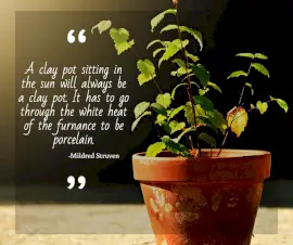 Online Editable Adversity Quotes By Mildred W. Struven Facebook Post