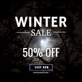 Online Editable Moon Light Background Winter Sale Offer Animated Design