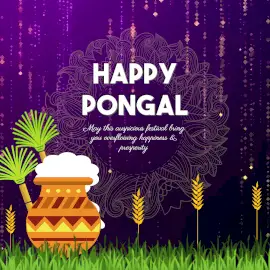 Online Editable Purple and Yellow Happy Pongal Animated Design