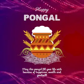 Online Editable Pink Pongal Celebration Wishes Animated Design