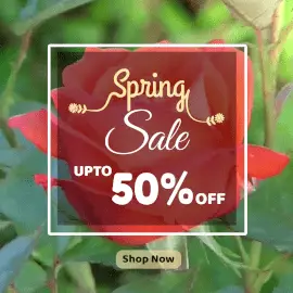 Online Editable Pink & Yellow Spring Sale Offer Animated Design