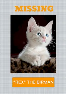 Online Editable Missing Cat Flyer