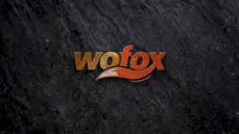 Online Editable Quick Impact Logo Intro