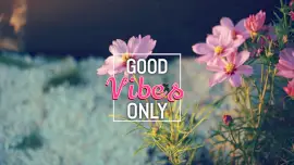 Online Editable Good Vibes Only Short Positive Quotes Desktop Wallpaper