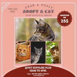 Online Editable Cat Adoption Center 4 Grid Photo Collage