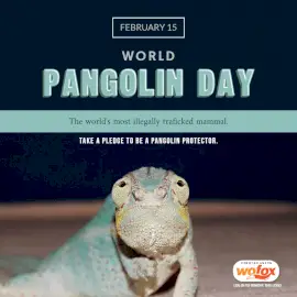 Online Editable World Pangolin Day February 15 Social Media Post