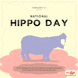 Online Editable National Hippo Day February 15 Social Media Post