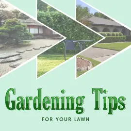 Online Editable Gardening Tips and Ideas 3 Photo Collage