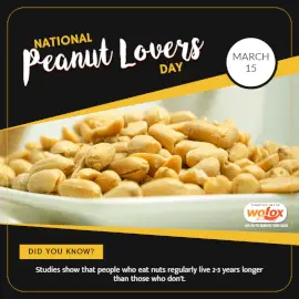 Online Editable National Peanut Lovers Day March 15 Social Media Post