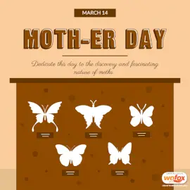 Online Editable Moth-er Day March 14 Social Media Post