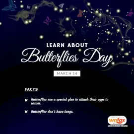 Online Editable Learn About Butterflies Day Fact March 14 Social Media Post